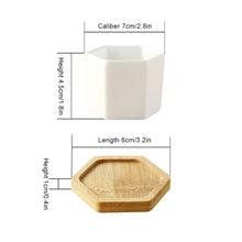 Load image into Gallery viewer, ClaudiaG Succulent Planter-Single