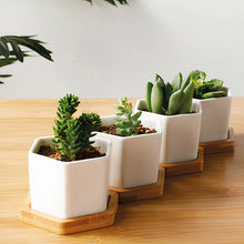 Load image into Gallery viewer, ClaudiaG Succulent Planter-Single