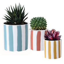 Load image into Gallery viewer, ClaudiaG Playful Planters Set of 3