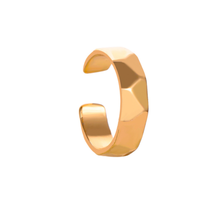 Load image into Gallery viewer, ClaudiaG Dann Ear Cuff