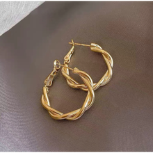 Load image into Gallery viewer, ClaudiaG Turn Earrings