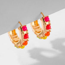 Load image into Gallery viewer, ClaudiaG Ally Colors Earrings
