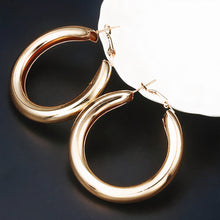 Load image into Gallery viewer, ClaudiaG Aura Earrings
