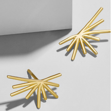 Load image into Gallery viewer, ClaudiaG Cat Earrings
