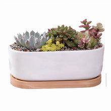 Load image into Gallery viewer, ClaudiaG Succulent Planter -Elongated
