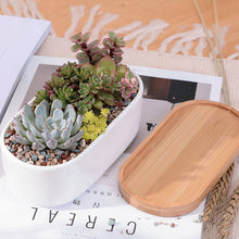 Load image into Gallery viewer, ClaudiaG Succulent Planter -Elongated
