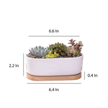 Load image into Gallery viewer, ClaudiaG Succulent Planter -Elongated
