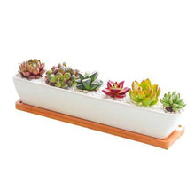 Load image into Gallery viewer, ClaudiaG Succulent Planter-Long
