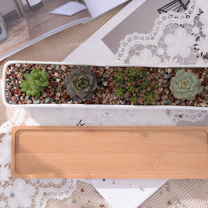 ClaudiaG Succulent Planter-Long