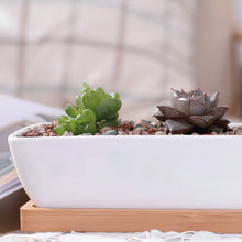 Load image into Gallery viewer, ClaudiaG Succulent Planter-Long
