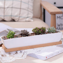 Load image into Gallery viewer, ClaudiaG Succulent Planter-Long
