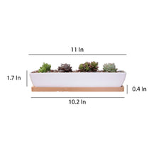 Load image into Gallery viewer, ClaudiaG Succulent Planter-Long
