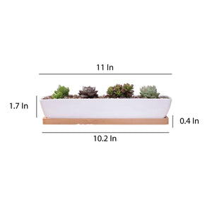 ClaudiaG Succulent Planter-Long