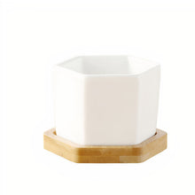 Load image into Gallery viewer, ClaudiaG Succulent Planter-Single
