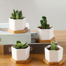 Load image into Gallery viewer, ClaudiaG Succulent Planter-Single
