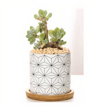 Load image into Gallery viewer, ClaudiaG B&amp;W Planters (Set of 3)
