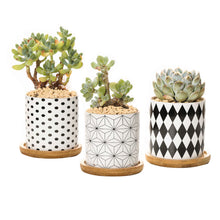 Load image into Gallery viewer, ClaudiaG B&amp;W Planters (Set of 3)
