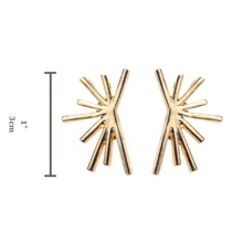 Load image into Gallery viewer, ClaudiaG Cat Earrings
