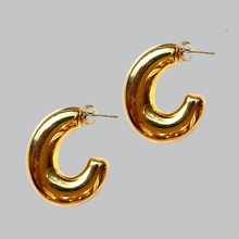 Load image into Gallery viewer, ClaudiaG Elongated Tamara Earrings
