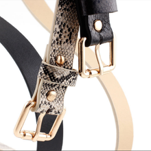 Load image into Gallery viewer, ClaudiaG Liz Belt
