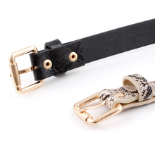 Load image into Gallery viewer, ClaudiaG Liz Belt
