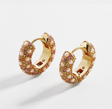 Load image into Gallery viewer, ClaudiaG Lory Earrings
