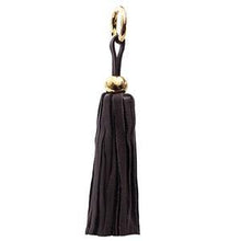 Load image into Gallery viewer, ClaudiaG Tassel - Gold/Chocolate
