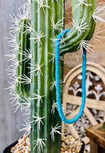 Load image into Gallery viewer, Fort Worth Short Necklace
